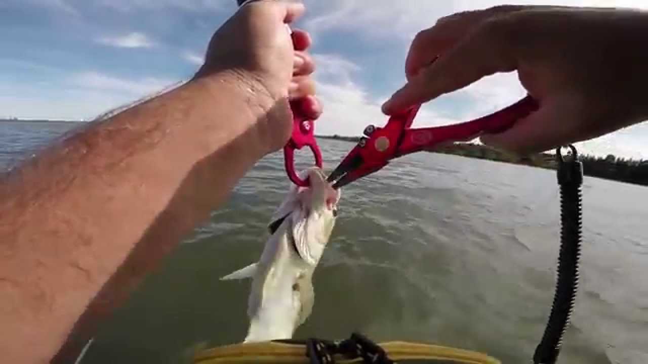 Fishing the Flats Sea trout fishing. YouTube