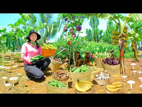 Harvest Mushroom, Loofah,
