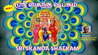SRI SKANDA SHATKAM||Powerful Stotram on Lord Muruga||Fulfills all our Wishes||Kanda Sashti Special!!
