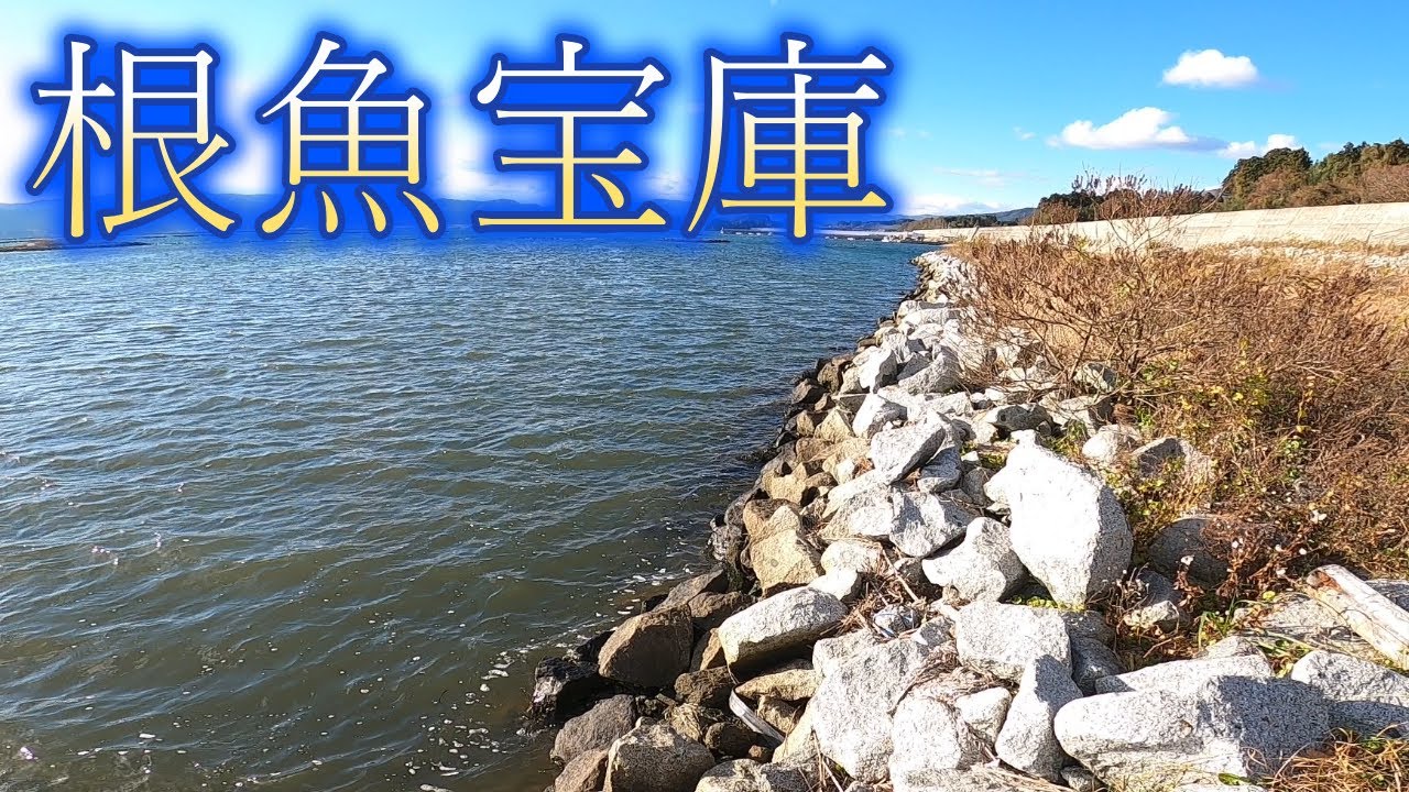 【穴釣り】誰もやらない場所は私がやります【岩手県・広田湾】