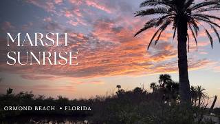 Sunrise Over a Florida Marsh Ormond Beach Birdsong Still Water No Talking