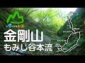 山に癒される動画　金剛山 もみじ谷ルート（2016年秋登山　大阪府）