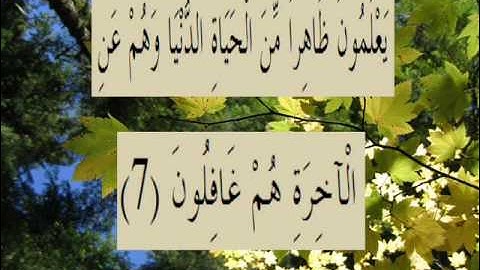 القران الكريم سورة الروم الأية 7.wmv