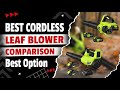 Cordless Leaf Blower Comparison 🍃 2-Battery Models Tested!