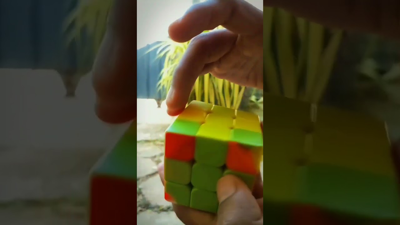 QUBE PLAY to last |WhatsApp status  