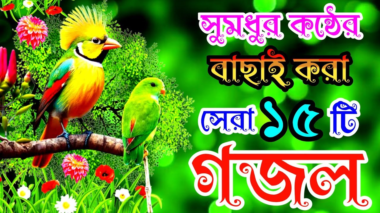 খুবই দুঃখের কলিজা ছিড়া সেরা ১৫টি গজল |বাংলা বাছাইকৃত গজল |Selected Gajal |New Gojol |Islamic Song 