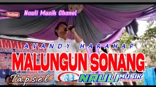 Download Lagu Malungun sonang tapsel /cover by avandy Harahap MP3
