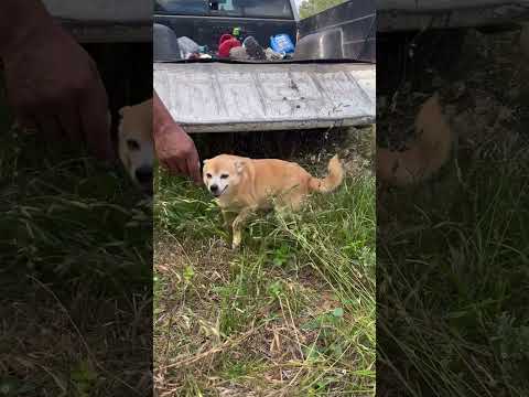 Mailo Needs A Friend Part 2