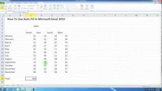 Using Auto Fill In Microsoft Excel 2010