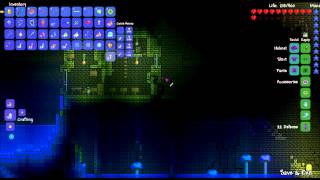 Terraria: Dark Souls Mod: Episode 8 - Waste of Souls
