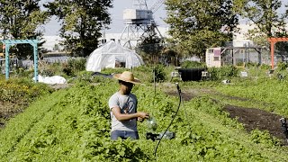 Red Hook Farms: A Hub for Community, Food and Education