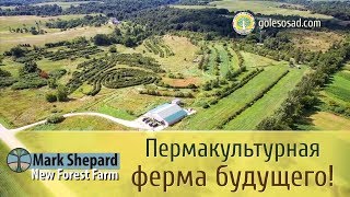 Пермакультурная ферма будущего!