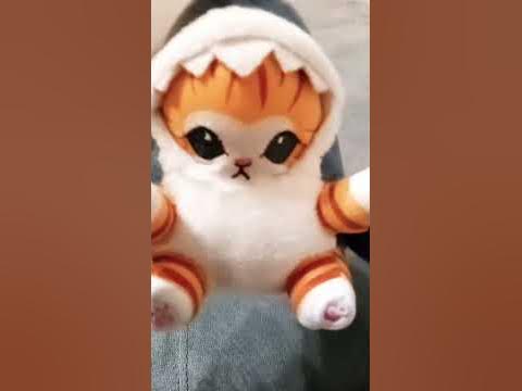 котик акула - YouTube