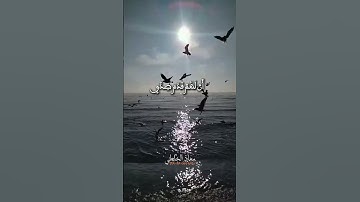 ما تيسر من سورة يونس - تلاوة مؤثرة بصوت معاذ الخلطي 📖🌙 #اكسبلور #تلاوة_خاشعة