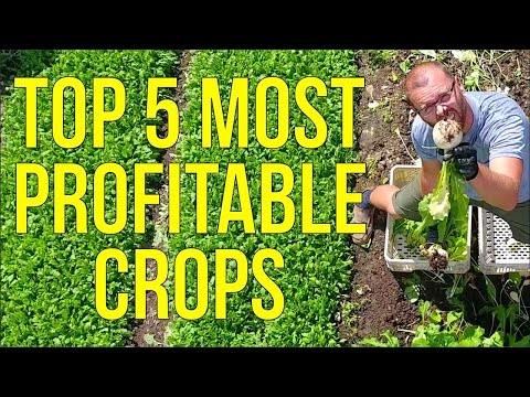 My 5 Most Profitable Crops