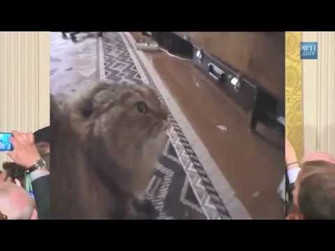 Obama Heckled at White House LGBT Pride Event, Tells Heckler no no no no no no