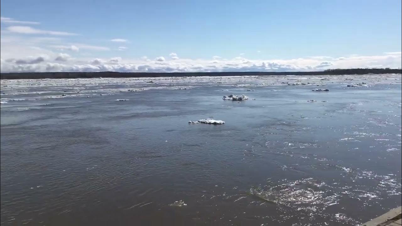 Воды оби в сургуте. Ледоход на Оби 2022. Река Обь Сургут. Ледоход Сургут. Ледоход на реке белая 2022.