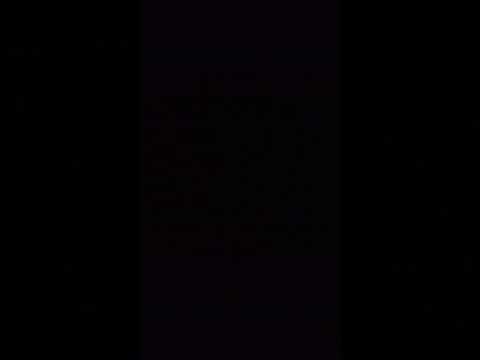 Corinna Everson Shortsvideo Youtubeshorts Bodybuilding 