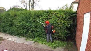 Hedge cutting, Trimming a privet hedge