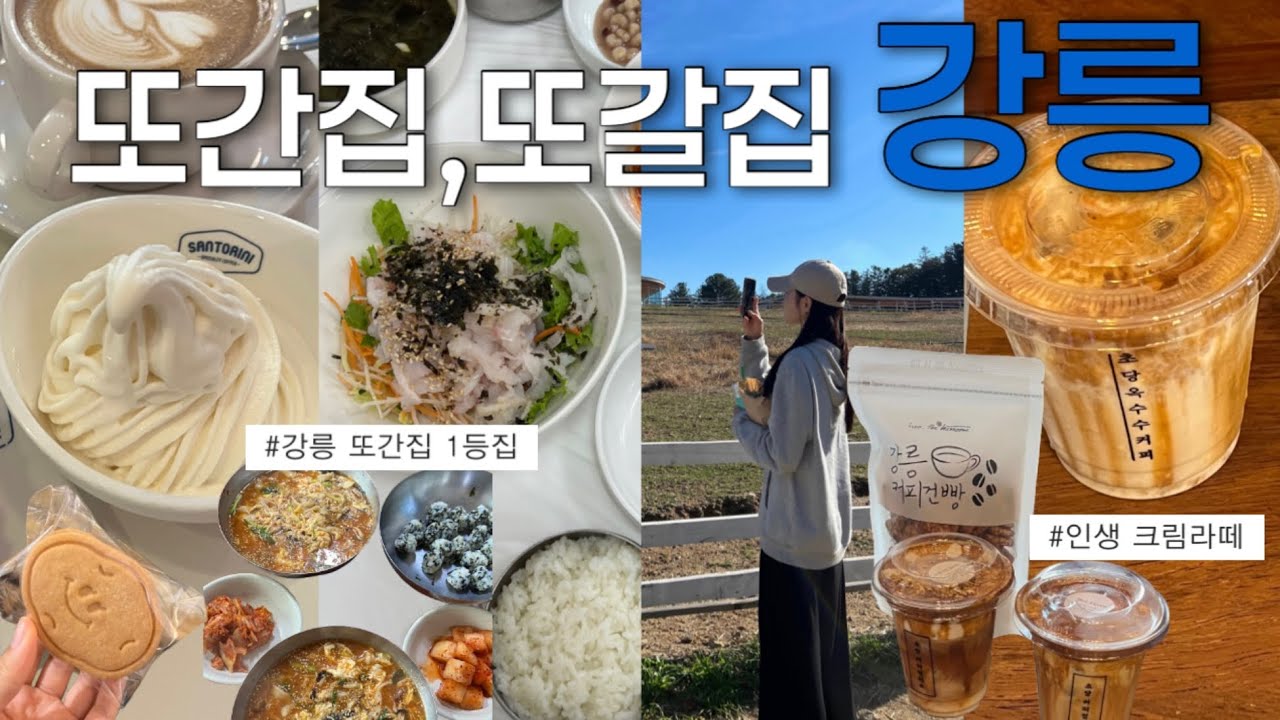 강릉 Vlog | 2박 3일 강릉 추천코스🫵🏻또또또!갈 맛집,초당옥수수카페투어,안목해변 소품샵 | 또간집1등 장안회집 | 초당커피정미소•갤러리밥스 | 안목해변 학꽁치낚시