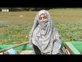 Indian-Administered Kashmir: Wular Lake Pollution Hits Water Chestnut Harvesters - BBC URDU