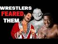 Legends of Pro Wrestling - The Stories Behind the Fame