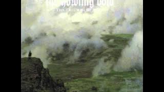 The Howling Void - The Triumph of Ruin (Full Album)