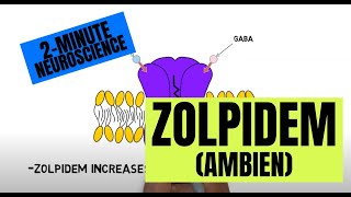 2-Minute Neuroscience: Zolpidem (Ambien) by Neuroscientifically Challenged 2,438 views 3 days ago 1 minute, 59 seconds