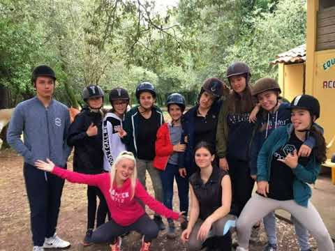 Video-thumbnail van Vakantiepark Les Chênes Verts