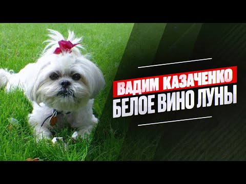 Вадим Казаченко - Белое вино луны