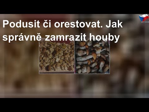 Video: Jak Zmrazit Houby