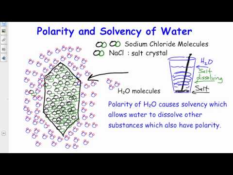 V. 62 The Universal Solvent