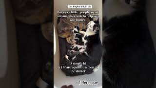 Im sorry little people aren't staying 10seconds to help you and buddies a simple hi and 1 share