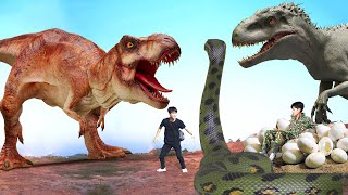 The Best of Dinosaur TRex Attack | TRex vs Giant Spider | Jurassic Park 4 | Dinosaur | Ms Sandy