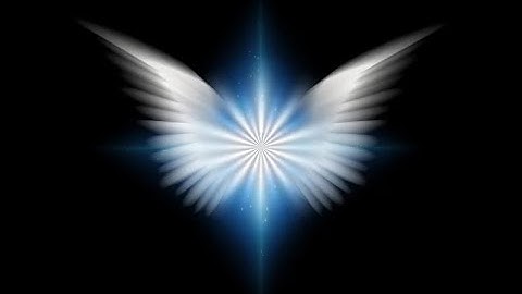 Paper 024a Census Directors Register Will Function of Human Beings