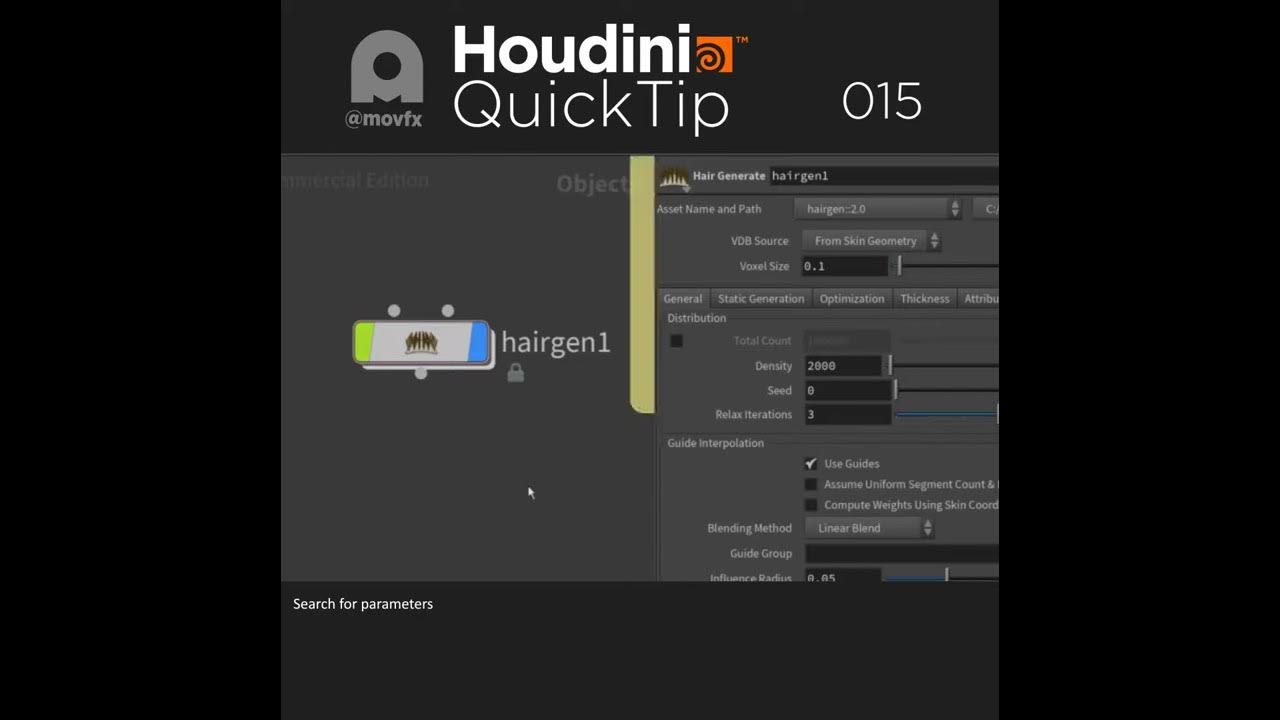 Houdini Quick tip #04 (Points number & Guide font size)