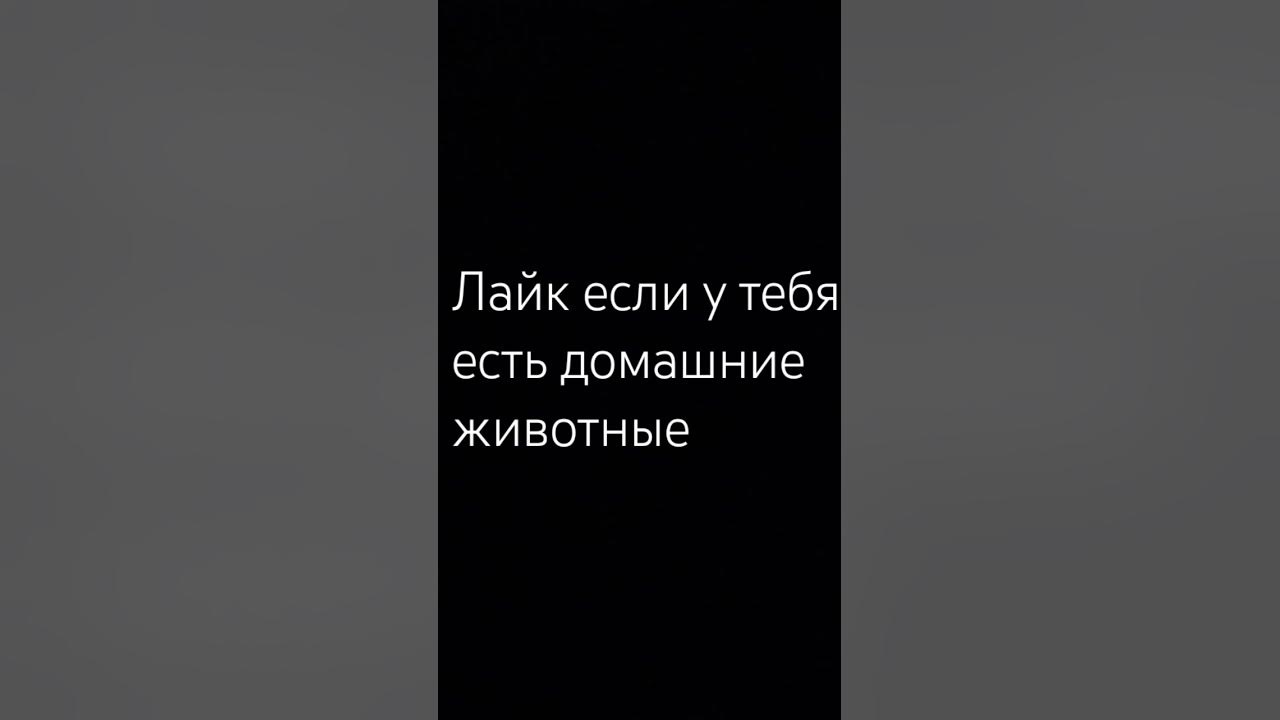У МЕНЯ ЕСТЬ - YouTube