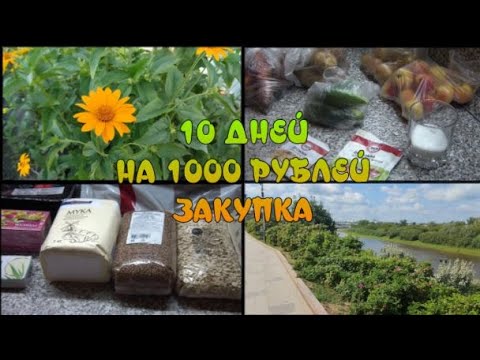 меню за 1000 рублей в день