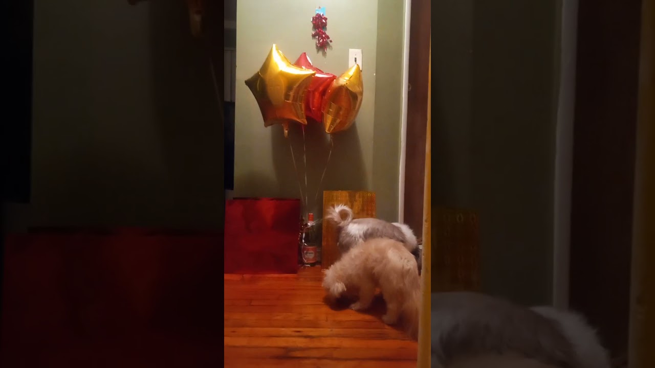 Какой чудесный мир!