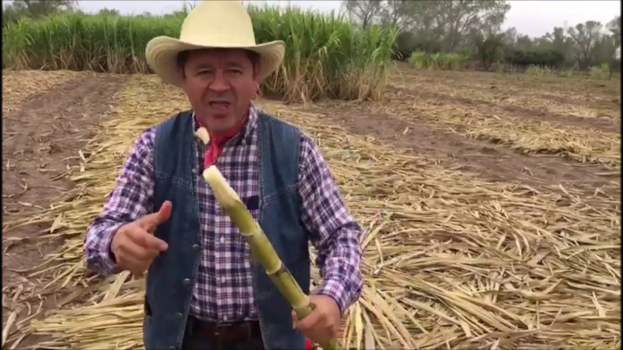 Como Tirarle La Caña A Una Chica