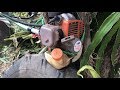 use grass cutting machine to chop corn tree for Cow