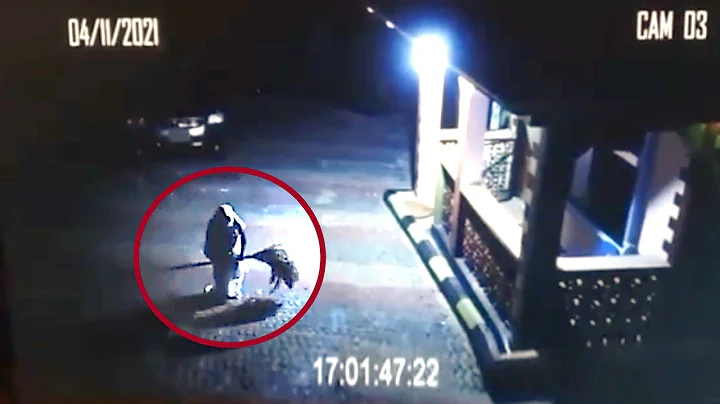 50 Unsolved Mysteries That Cannot Be Explained