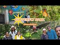 ബട്ടർഫ്ലൈ പാർക്ക് വിസിറ്റ് 🦋 Butterfly National Park Bannerghatta Tour