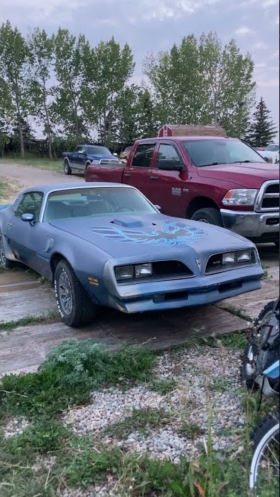 Trans Am Differences 1977 vs 1978