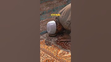 القارئ ياسر الدوسري ✨❤||قرآن كريم🌹💕|| راحه نفسيه❤️‍🩹|| هدوء😍🌹 || حالات واتس اب دينيه ✨💜||ارح قلبك 🌿💛