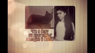 🌹Что я беру на прогулку с кошкой🌹Какие вещи я беру для поездки с кошкой🌹 🌹Что я беру на прогулку с кошкой🌹Какие вещи я беру для поездки с кошкой🌹