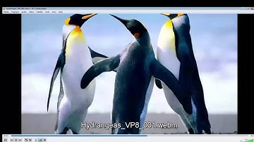 How To Convert ImageSequence Into Video Using AnyVideoConverter