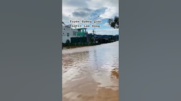 Quốc Lộ 20 K’ Rèn - Định An - Đà Lạt - Lâm Đồng mưa to hơn 1 tiếng mà đã vậy rồi mọi người ạ 🥹