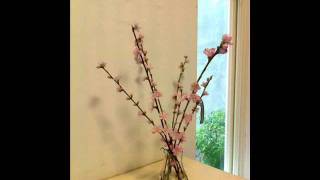Happy New Year by legendchung 20111231.wmv