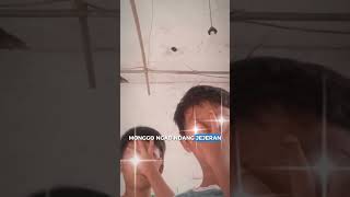 Trend Trondolan motor matic